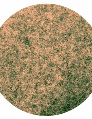 0-03444500-1587384813-brown